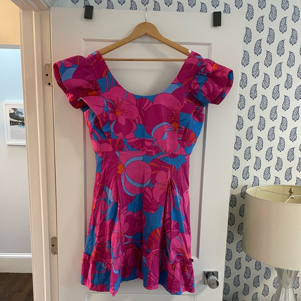 Tuckernuck collab with Cameran Eubanks: Wild Azela Dress